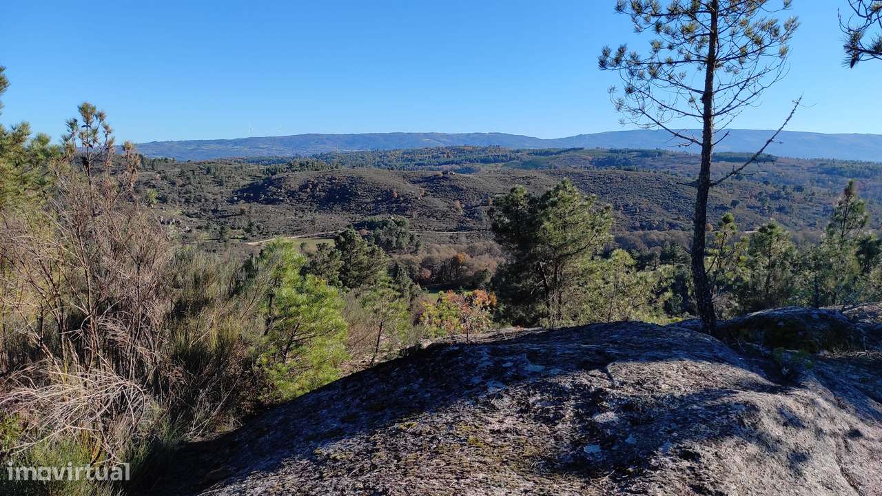 Quinta com vista deslumbrante para a Serra da Estrela 17500€-6