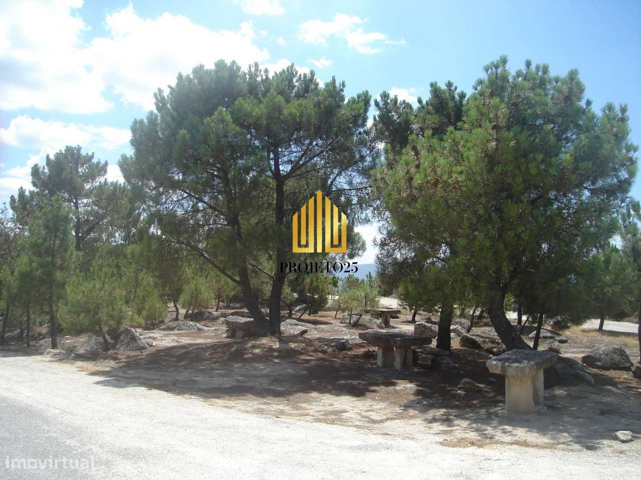 Terreno único com 21.500 m² Zona Vinhateira - Projeto Turístico-6