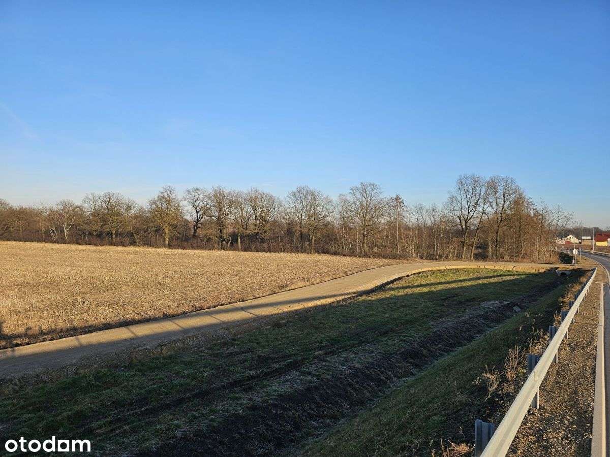 Teren inwestycyjny przy S1 węzeł Oświęcim-5