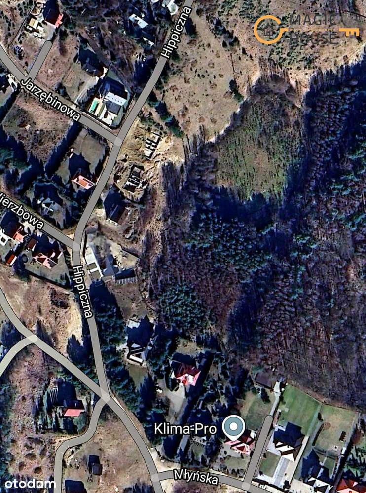 mg226950 - Pełny obrazek: 2/17