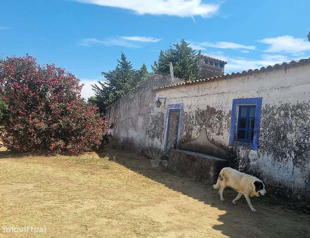 Moradia T6 para venda - Grande imagem: 4/25