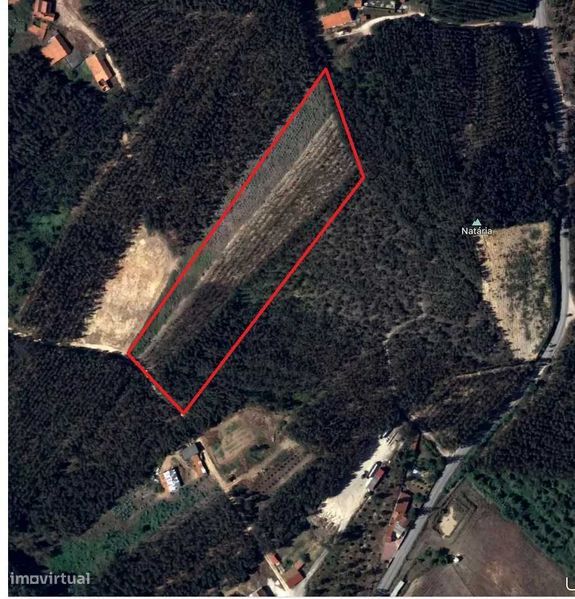Vendo Terreno em Alvorninha com 5.840 m² por bom preço (4€/m²)
