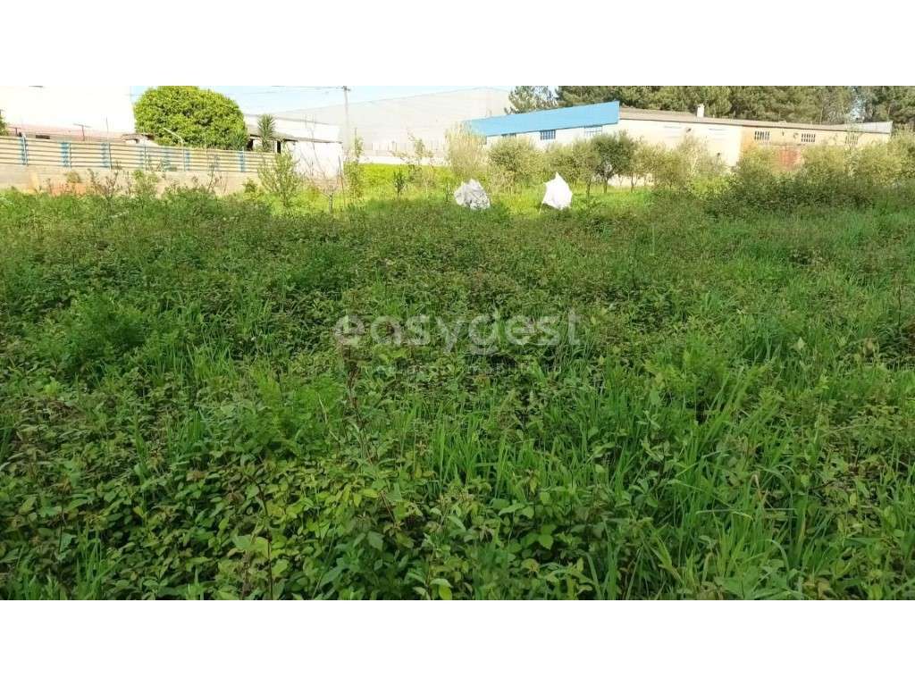 Terreno Rústico com possibilidade de construção em Touria Pousos - Grande imagem: 2/13