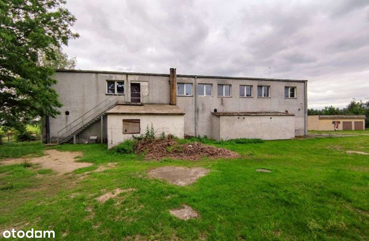 Nieruchomość komercyjna 1250m2 budynków - Pełny obrazek: 5/20