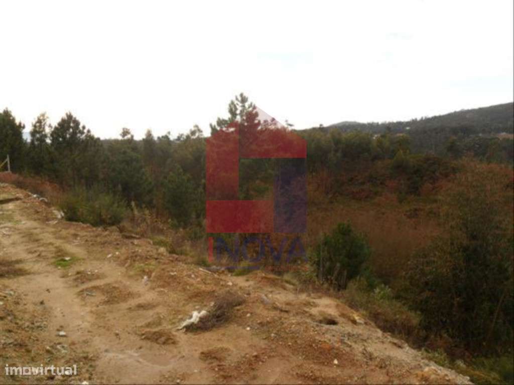 Vende-se Terreno, Cervães - Grande imagem: 4/6