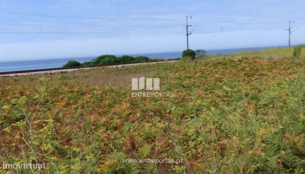 Terreno para venda, Moledo, Caminha - Grande imagem: 2/3