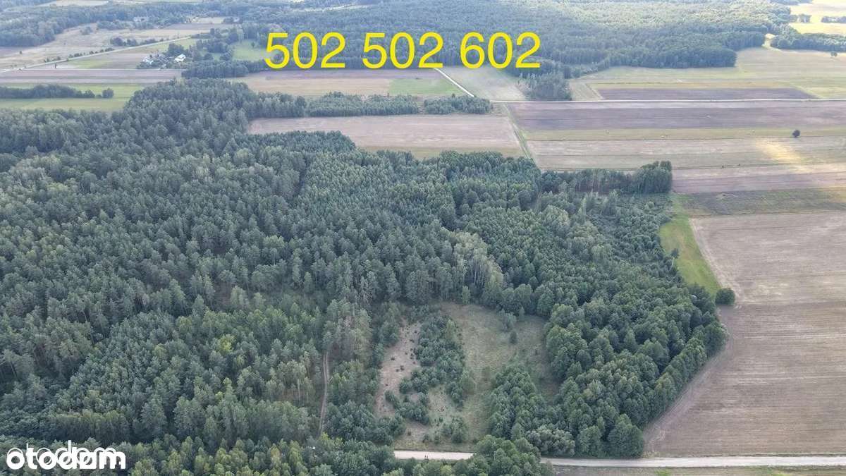 pod Rezydencję  ,z projektem i poz na budowę !!.Rogówek , ponad 1,5 ha-2