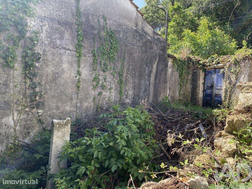 Casa / Villa T3 em Porto de Mós - São João Baptista e São Pedro de 387 - Grande imagem: 4/24