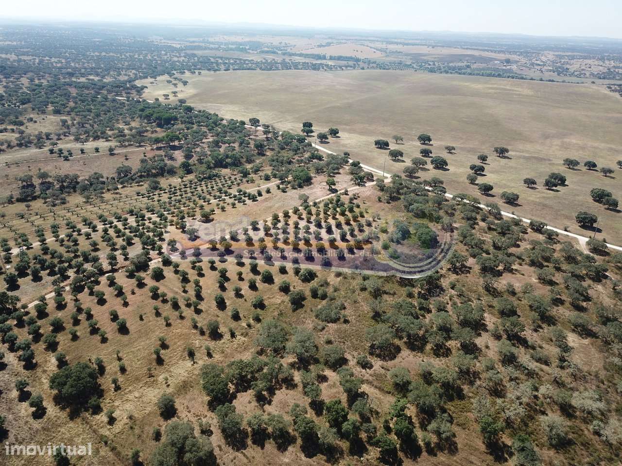 Terreno em Pavia, Mora (MOR058) - Grande imagem: 5/9