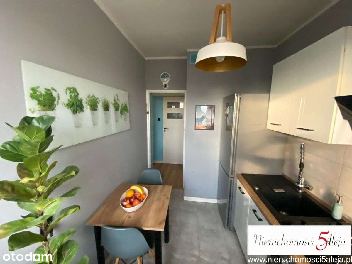 Sobieskiego, 2-pokoje, wyremontowane 49,5m2-13