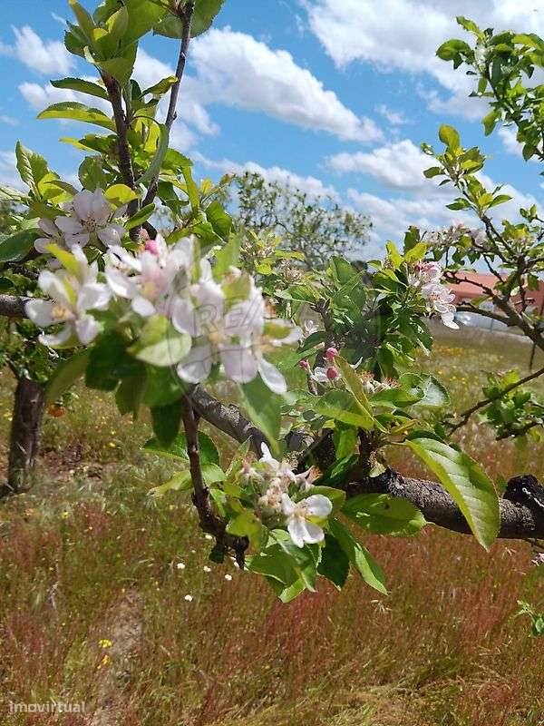 Terreno  para venda - Grande imagem: 3/28
