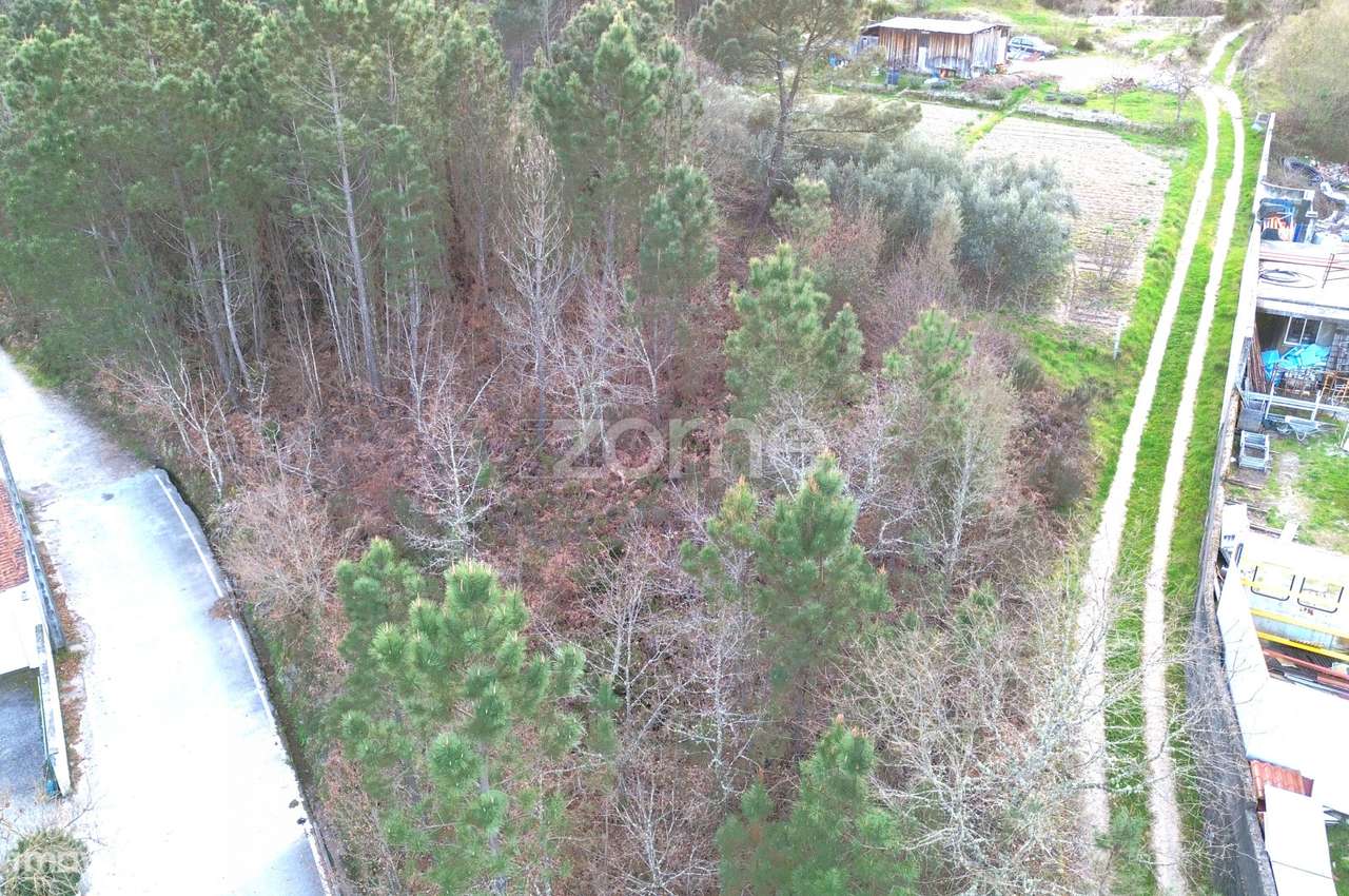 Terreno em Calde, Almargem (Viseu) – 1300 m2 - Grande imagem: 4/15
