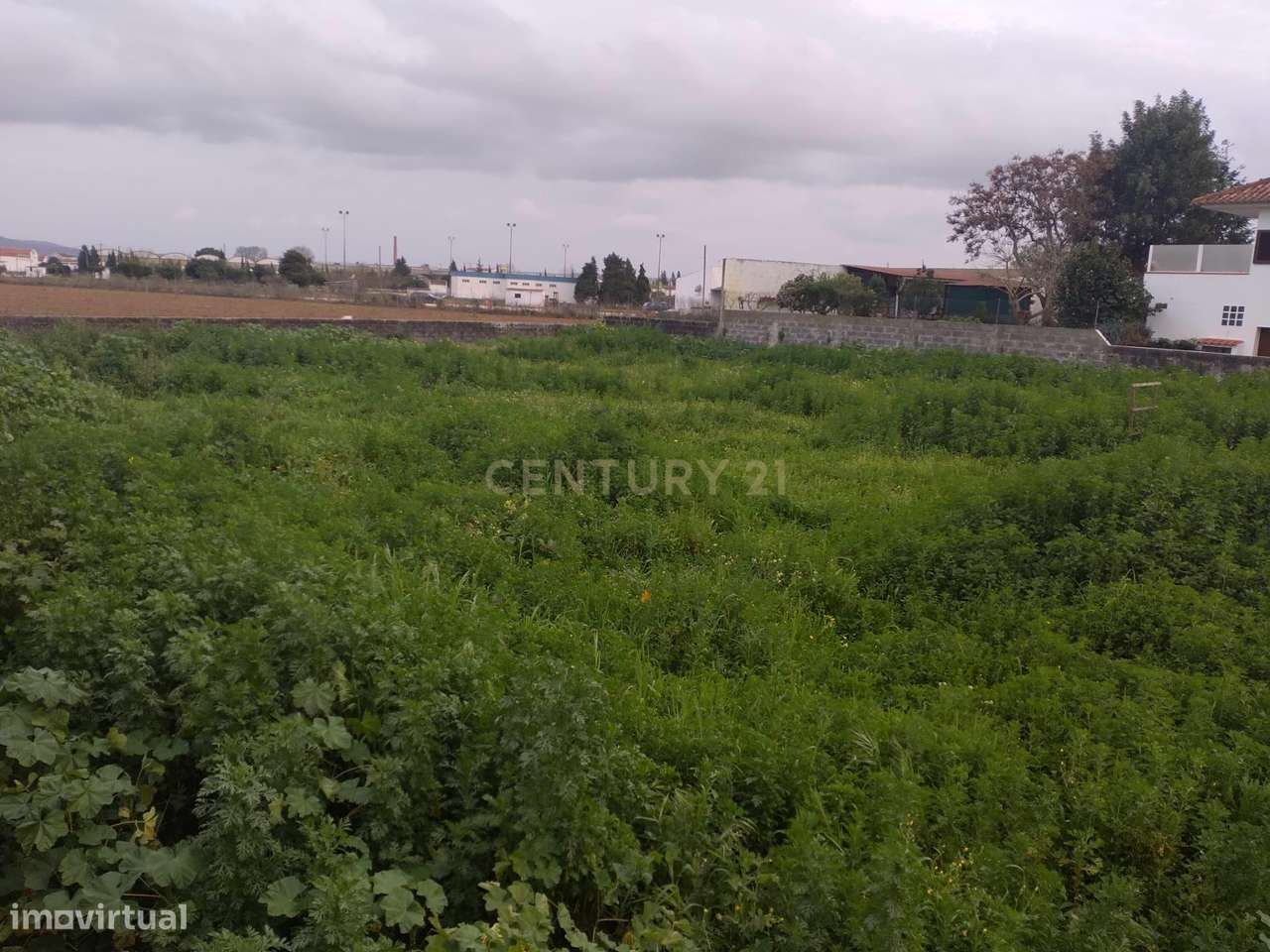 Terreno para construção da sua casa de sonho - Grande imagem: 4/10