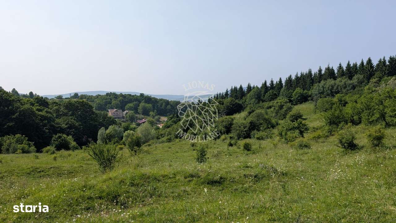 Oferta teren 500 mp - pretabil casa de vacanta- 5 min de centru ! - Imagine principală: 4/7
