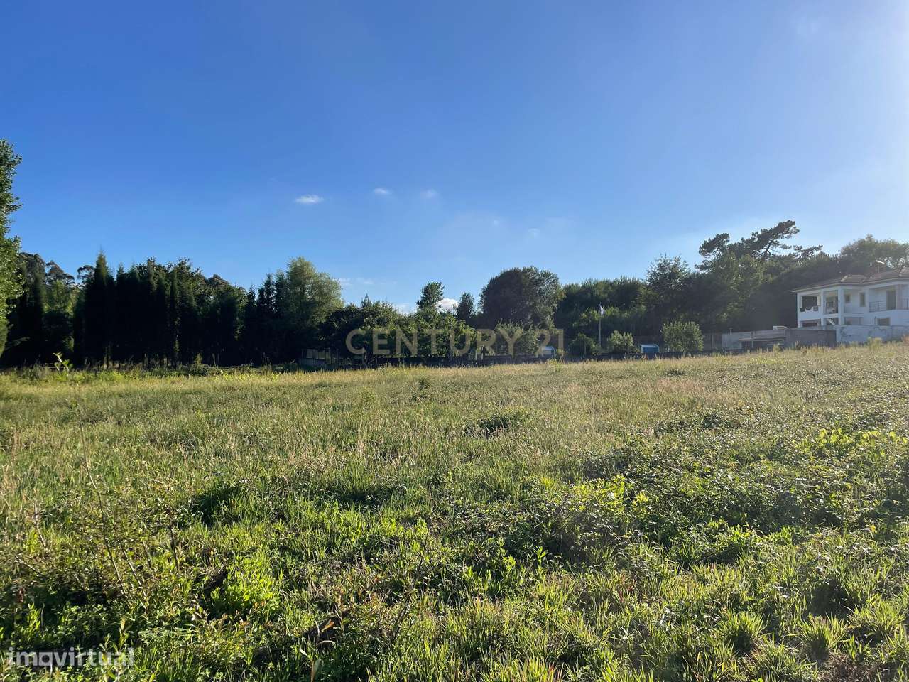 Terreno em Oiã com Vista Campestre, acessos e próximo do centro - Grande imagem: 5/10