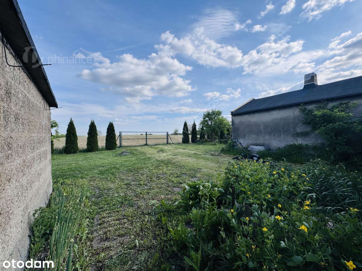 Na sprzedaż działka z zabudowaniami  31 arów - Więcej