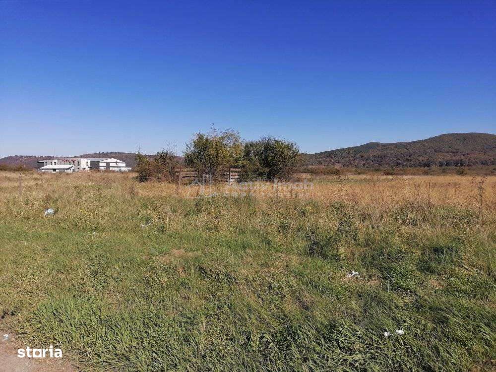 Teren intravilan  3000 mp constructii industriale - Imagine principală: 3/7