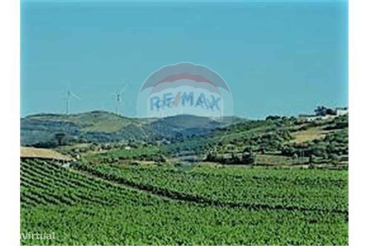 Terreno rústico a 40 m da estrada asfaltada - Grande imagem: 2/2