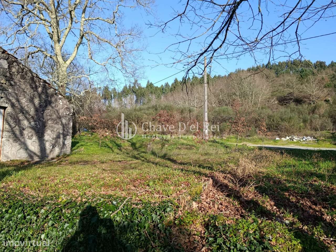 Terreno  Venda em Couto de Baixo e Couto de Cima,Viseu-8