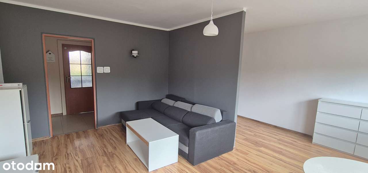 Wynajem/2 pokoje/Umeblowane/Południe - Pełny obrazek: 3/13