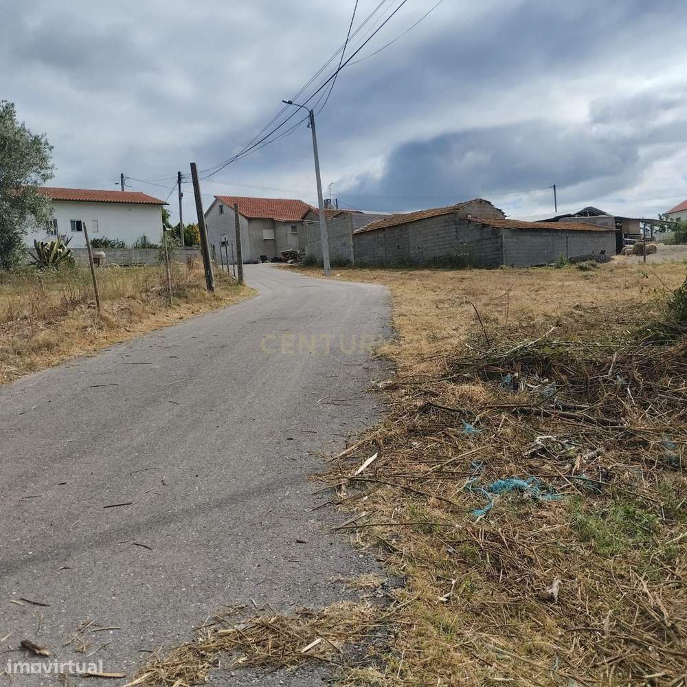 Terreno em Simões, Soure. - Grande imagem: 3/14