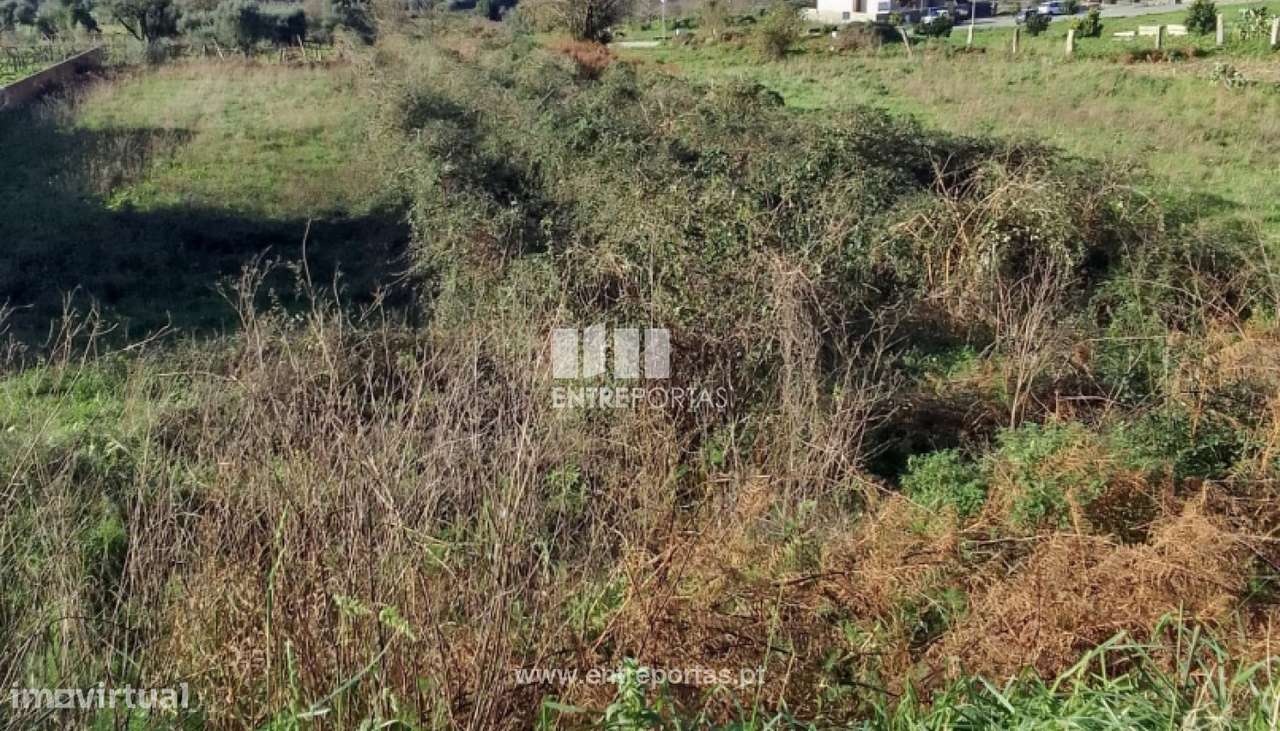 Venda de Terreno para construção, Deocriste, Viana do Castelo. - Grande imagem: 5/29