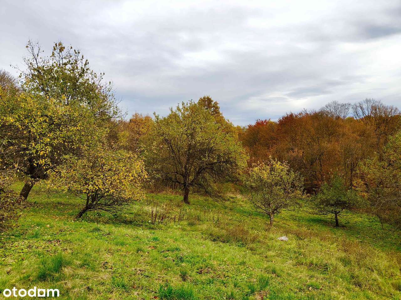 Enklawa spokoju | powiat Rzeszowski-8