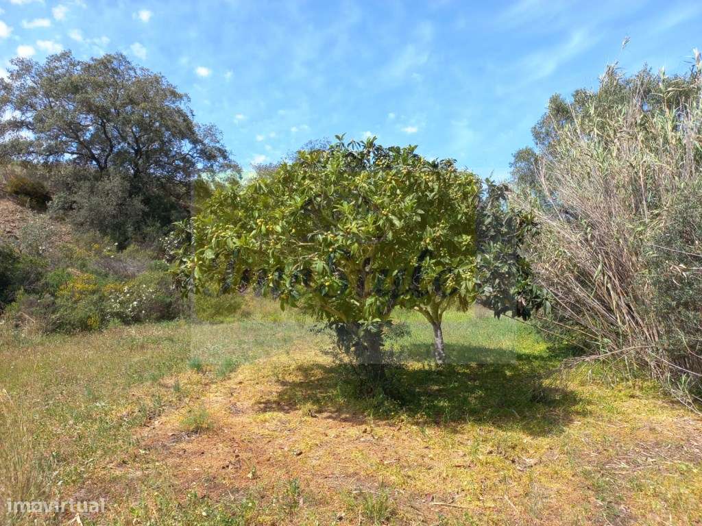 Terreno rústico em Castro Marim - Grande imagem: 3/23