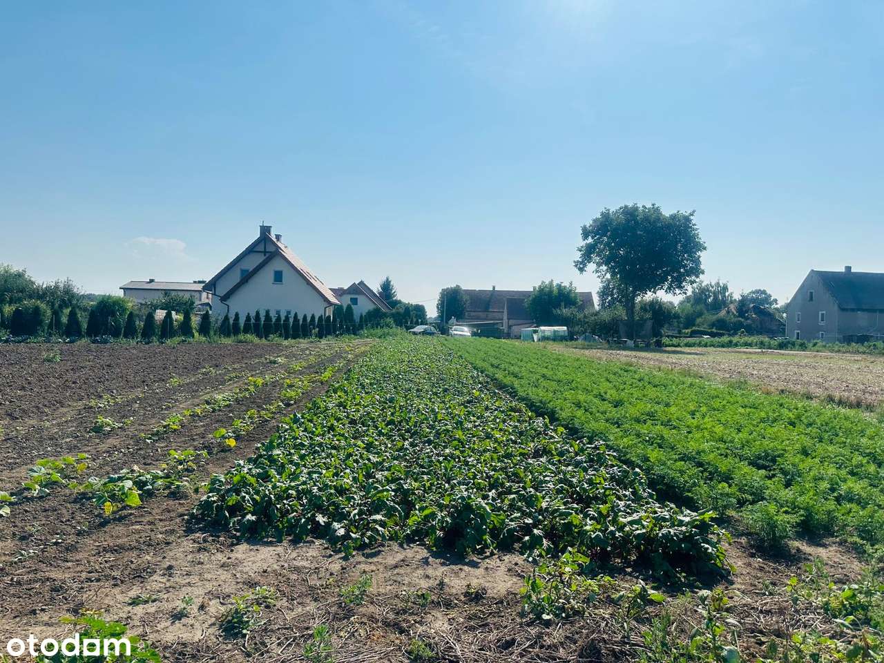 działku budowlana Kobierzyce, media dostępne - Pełny obrazek: 5/10