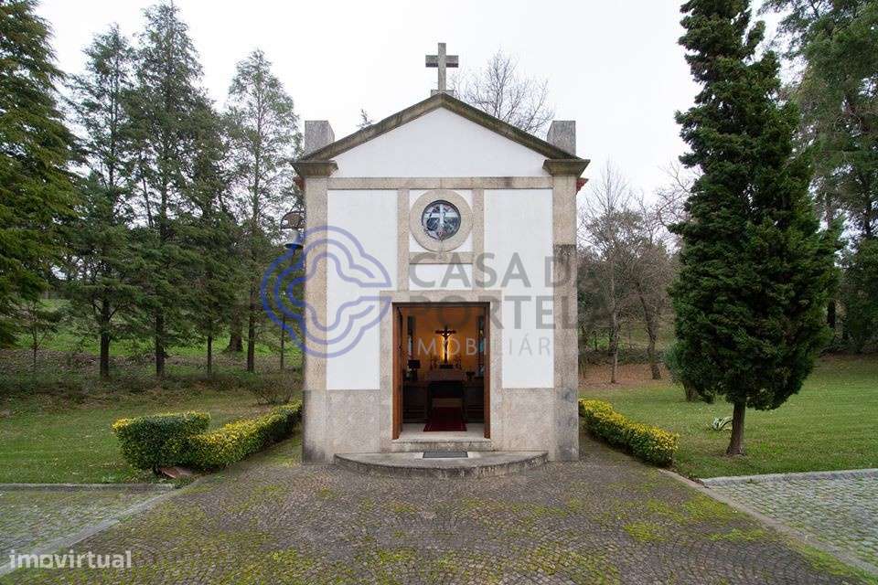 Quinta com 59000m2 e 3 casas entre Porto e Aveiro - Grande imagem: 5/60