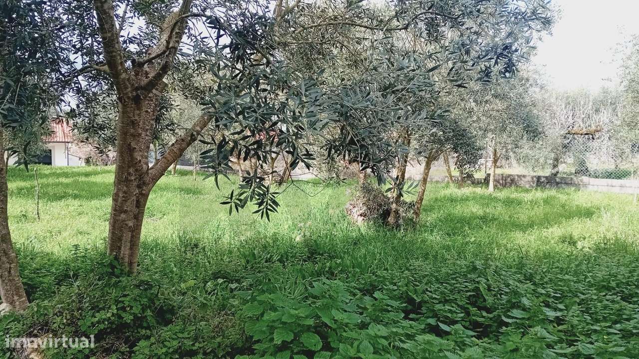 Terreno Rústico em Paleão – 1008m2 com Potencial para Moradia Moderna - Grande imagem: 5/13