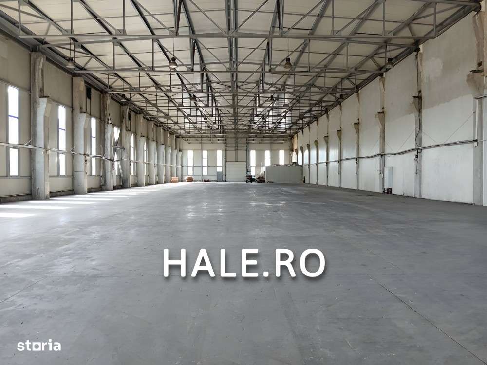 SPATIU INDUSTRIAL DE INCHIRIAT - A1 BUCURESTI-PITESTI KM 13 - Imagine principală: 2/2