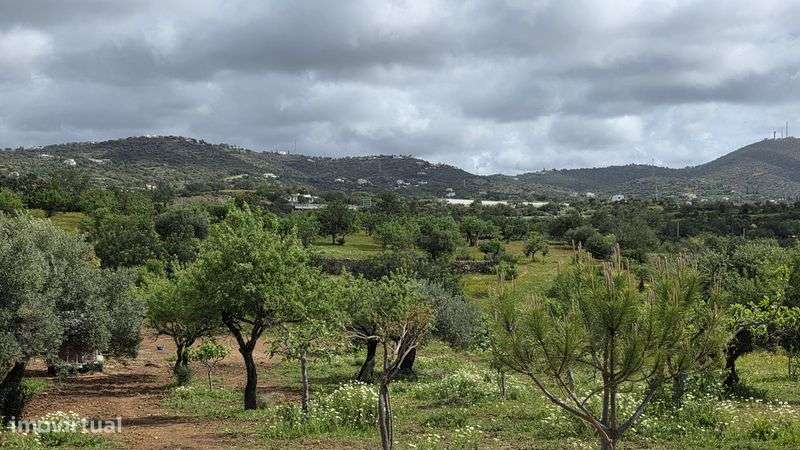 Terreno Rústico com Área Urbana – Estoi, Faro
Terreno rústico à venda - Grande imagem: 2/11