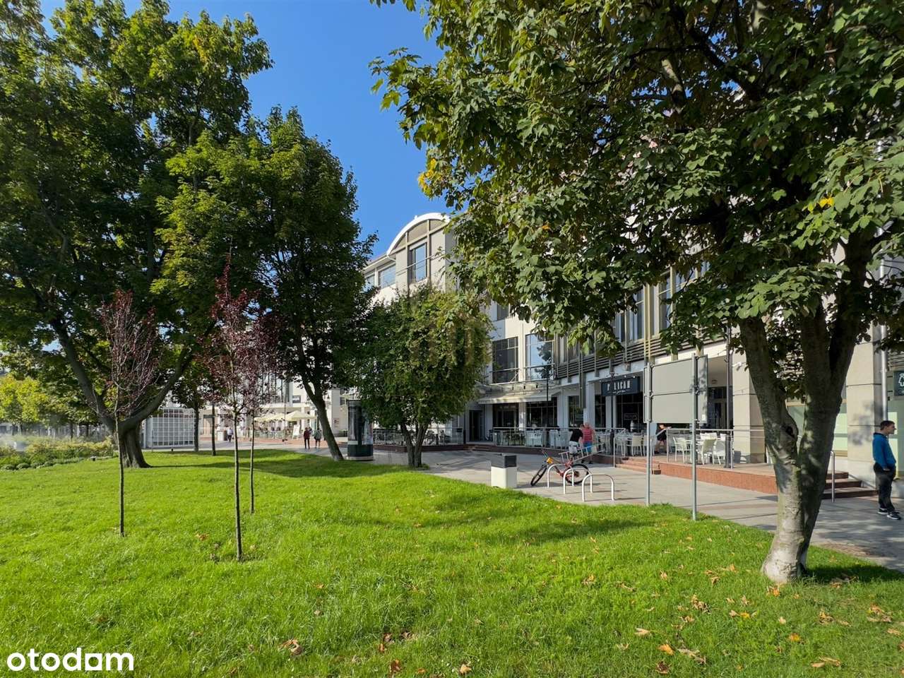 Lokal usługowy parter - Pełny obrazek: 3/13