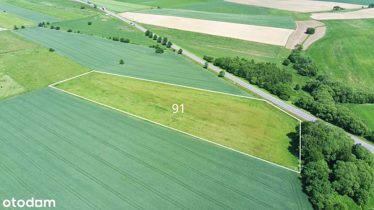 Na Sprzedaż Grunt Pod Produkcję i Usługi przy DK 33 - Pełny obrazek: 5/20