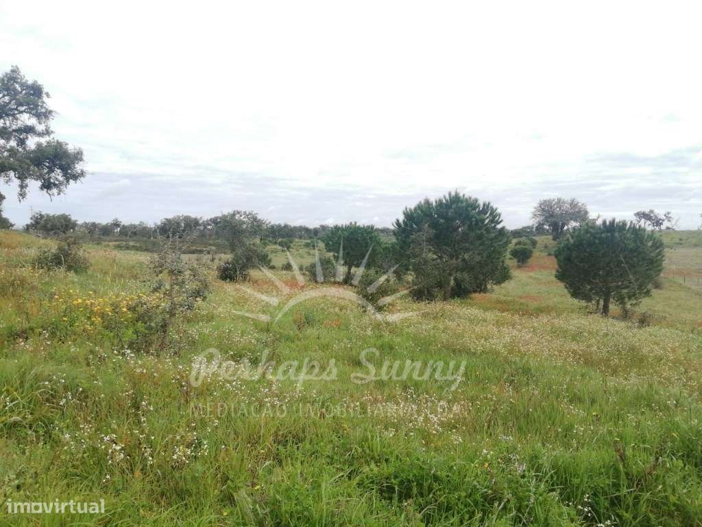 Terreno Mosqueirões - Grande imagem: 4/5