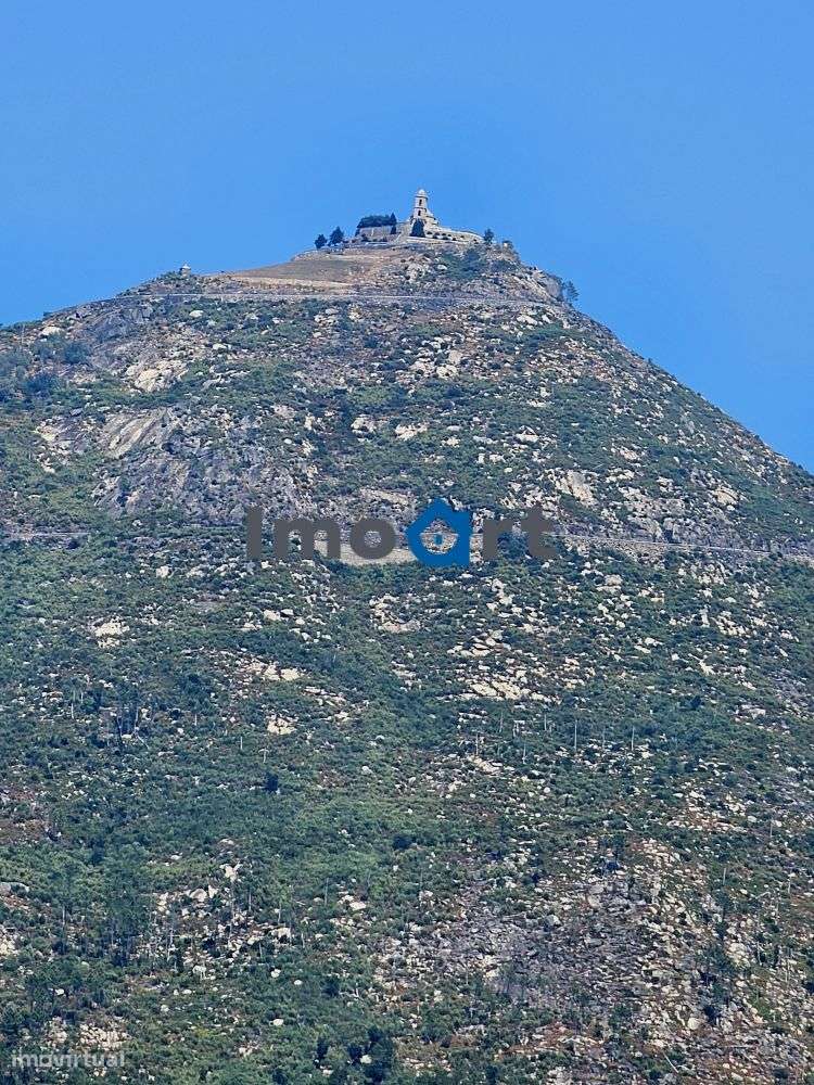 Terreno com nascente de Água!-20