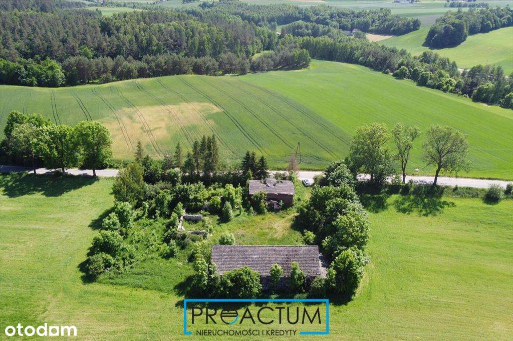 Działka na mazurach 12 ha - Pełny obrazek: 5/8