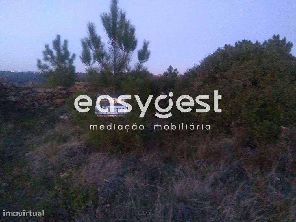 Terreno rústico com vista para o convento de Mafra - Grande imagem: 4/4