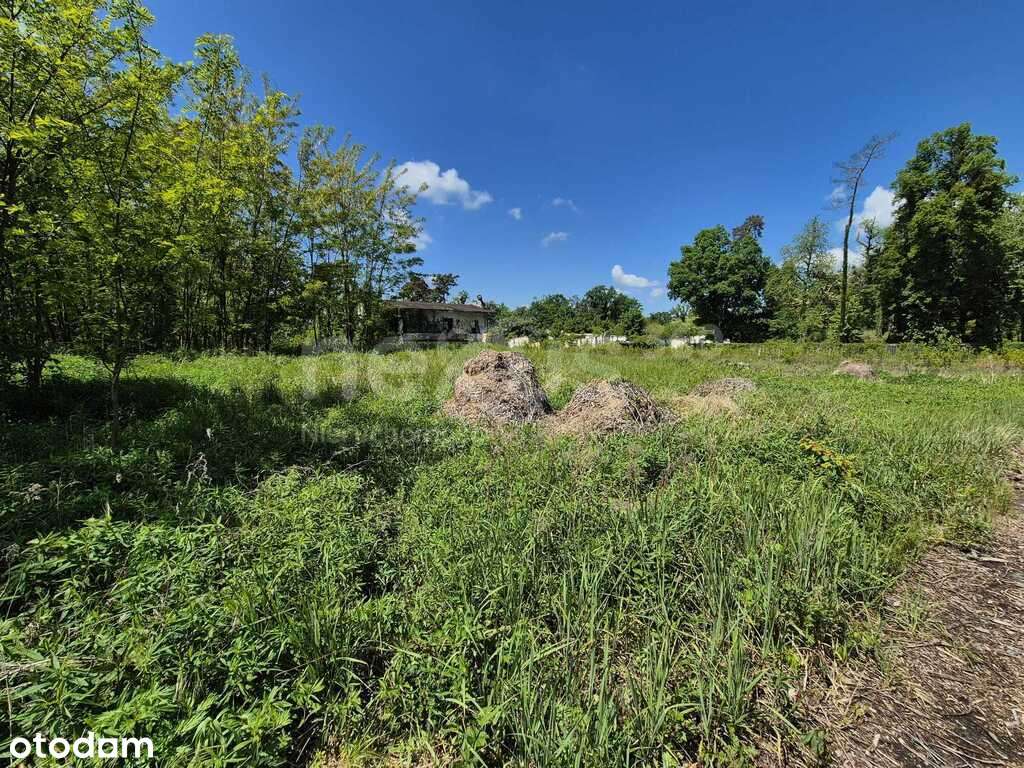 Nieruchomość usługowa zabudowana - w cenie gruntu - Pełny obrazek: 4/10