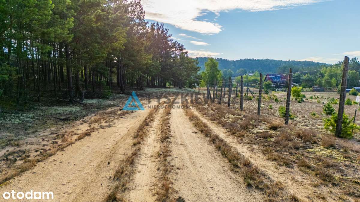 Działka budowlana 3338 m² z warunkami zabudowy - Pełny obrazek: 4/14