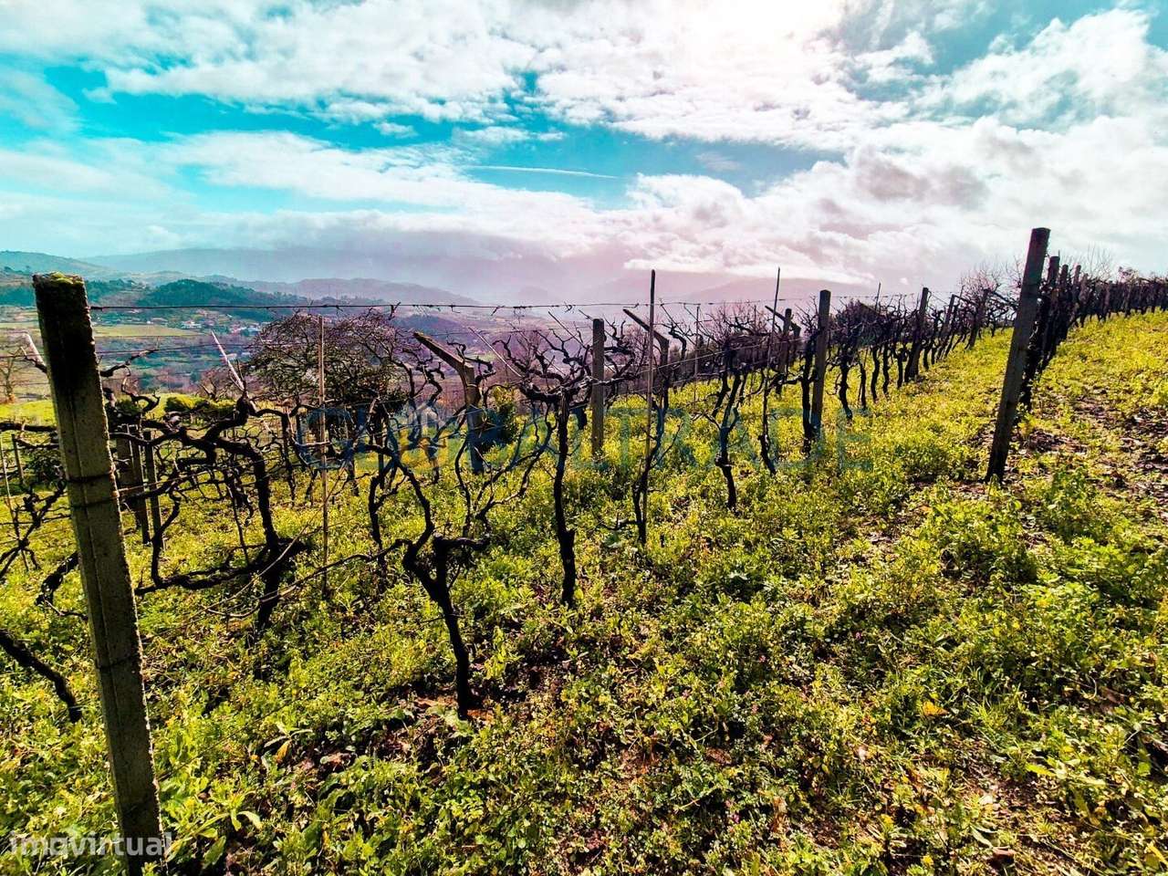 Quinta com 5250 m² & Moradia T1 em Pedra – Baião-41