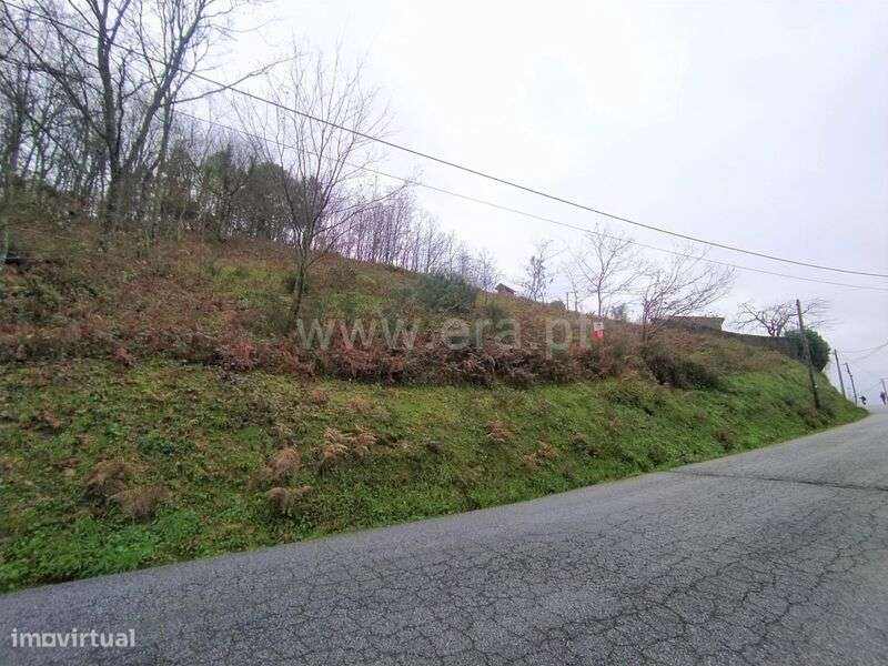 Terreno / Baião, Campelo e Ovil - Grande imagem: 4/9