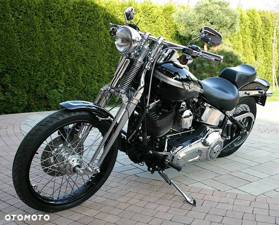 Harley-Davidson Softail Springer Classic - 3