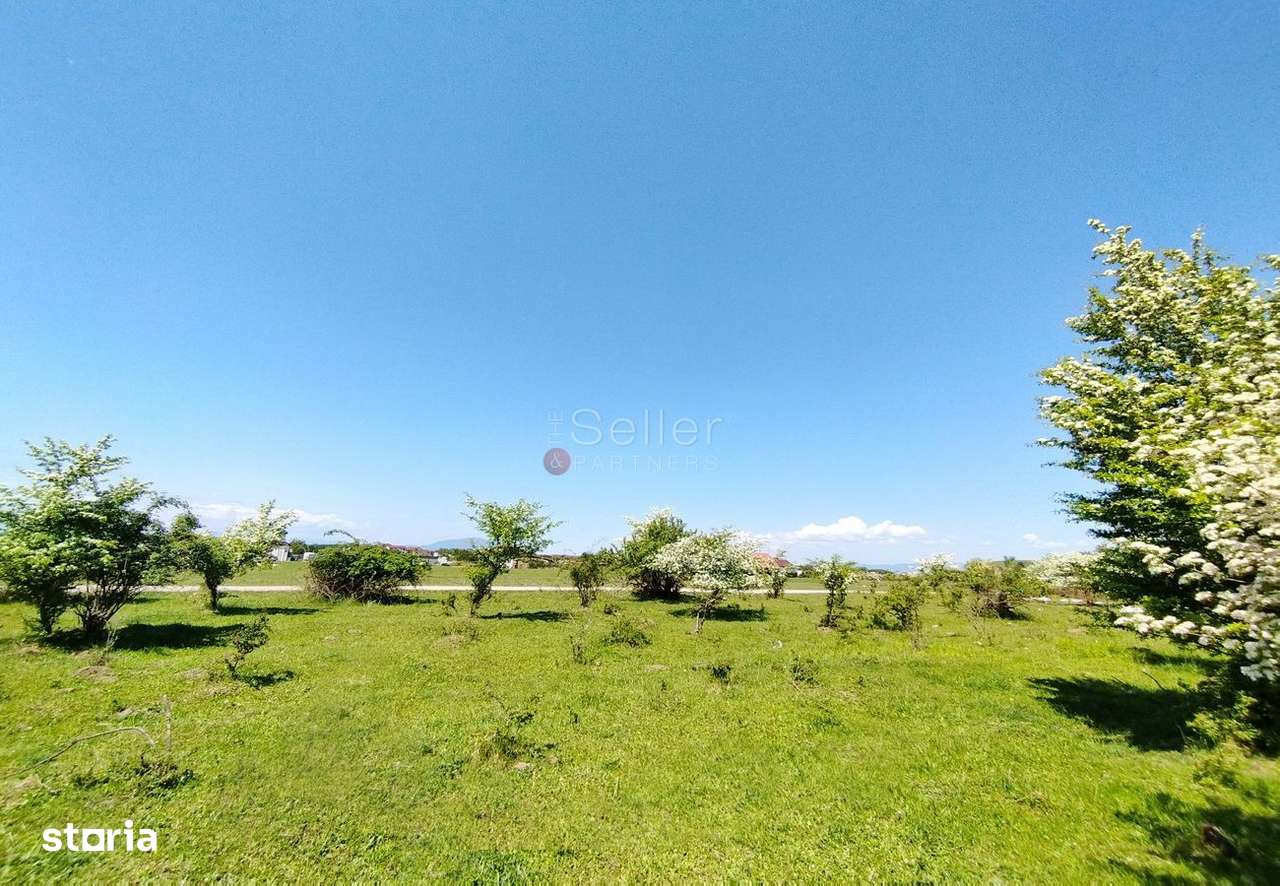 Teren Intravilan - Imagine principală: 4/9