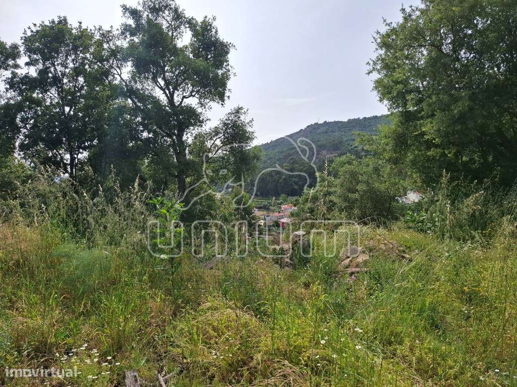 Terreno com projeto aprovado em Carvoeiro - Viana do Castelo - Grande imagem: 3/6
