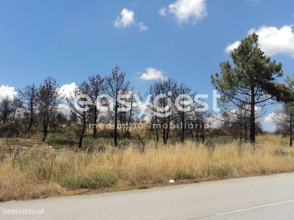 Lote na Zona Industrial de Alijó - Grande imagem: 3/11