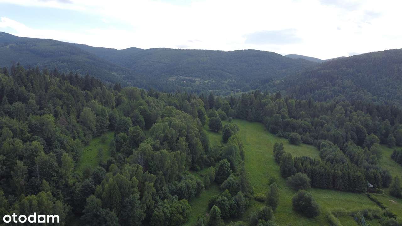 Korbielów, 2 małe działki budowlane po 6 arów-5