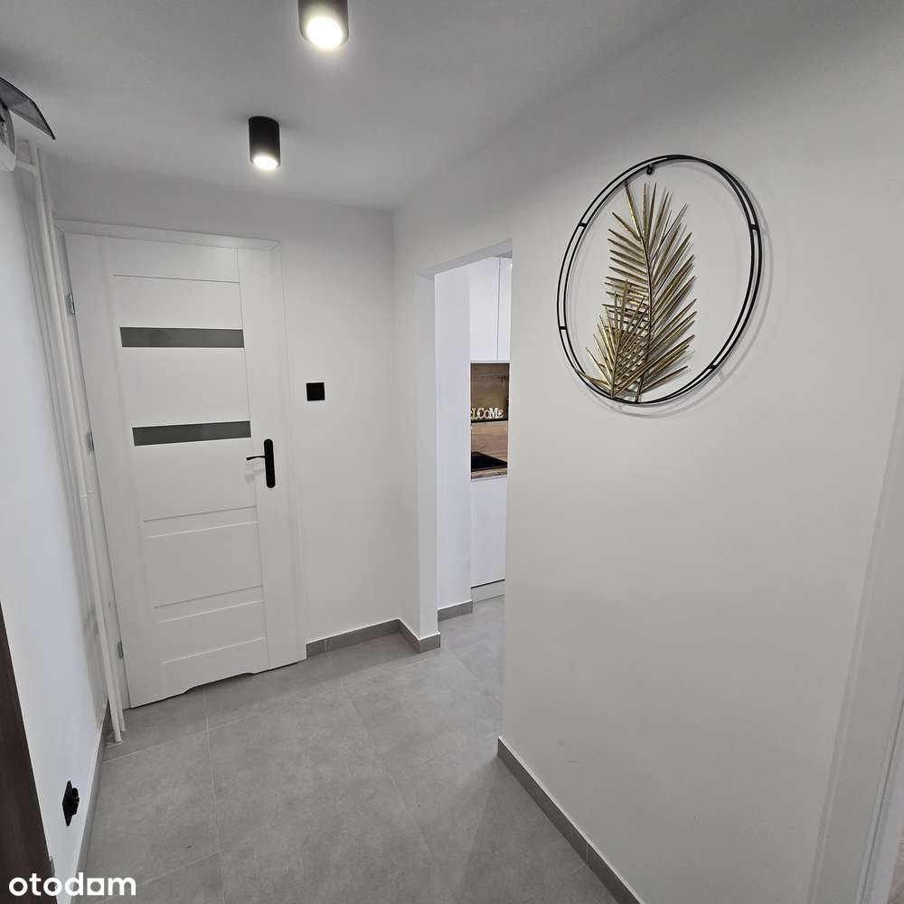 Przestronne 2-pokojowe mieszkanie z kuchnią po generalnym remoncie-6