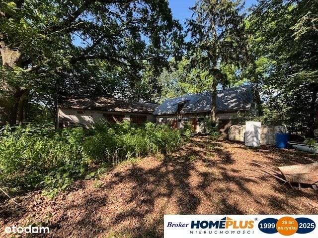 Siedlisko pod lasem, 1,8 ha niedaleko Warszawy - Pełny obrazek: 4/20